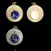Cover image of  Medal